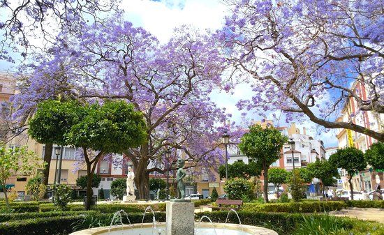Plaza de la Victoria